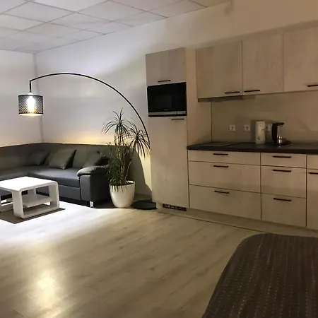 Whirlpool, Fußbodenheizung, Nintendo NES, Netflix, Wintergarten&Workspace Rudolstadt Exterior foto